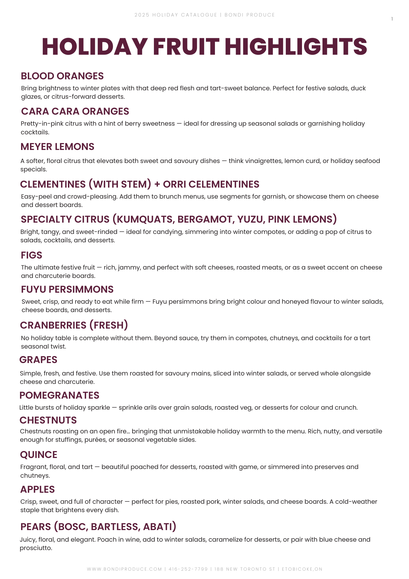 2025 Bondi Holiday Catalogue (4)