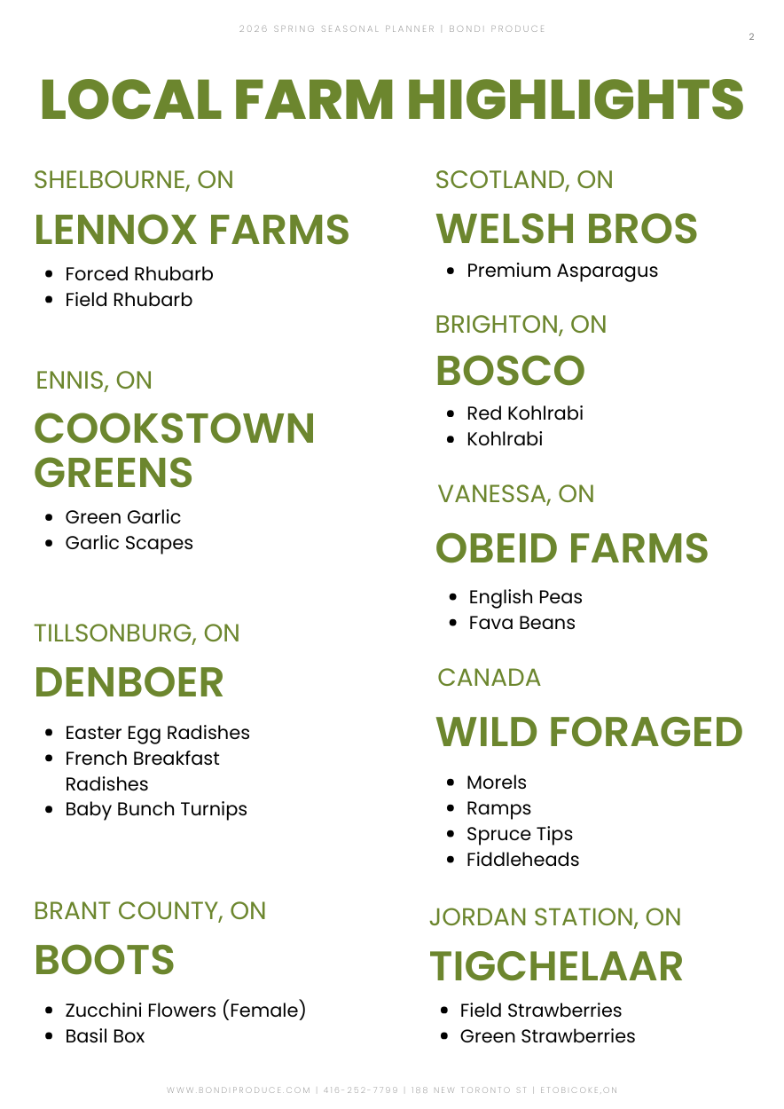 3-Feb-19-2026-02-07-29-2280-PM