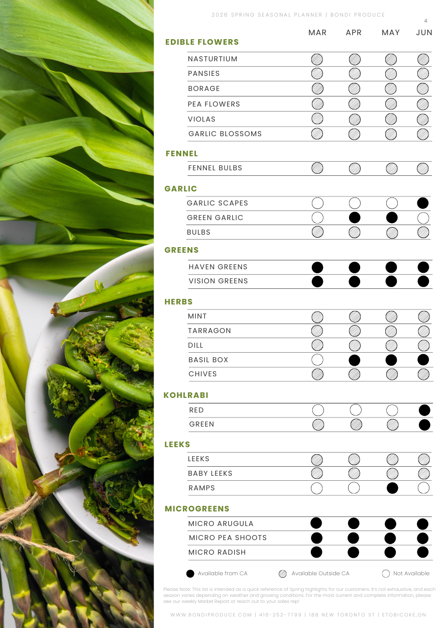 5-Feb-19-2026-02-07-31-3009-PM