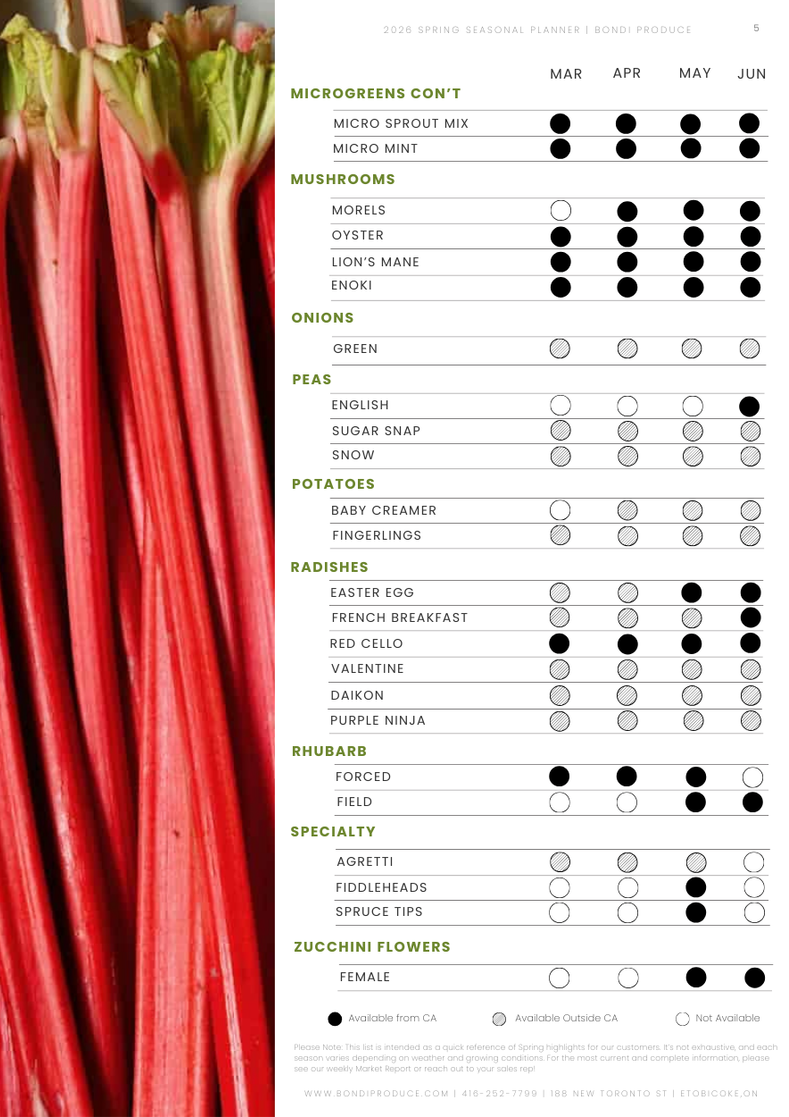 6-Feb-19-2026-02-07-31-5617-PM