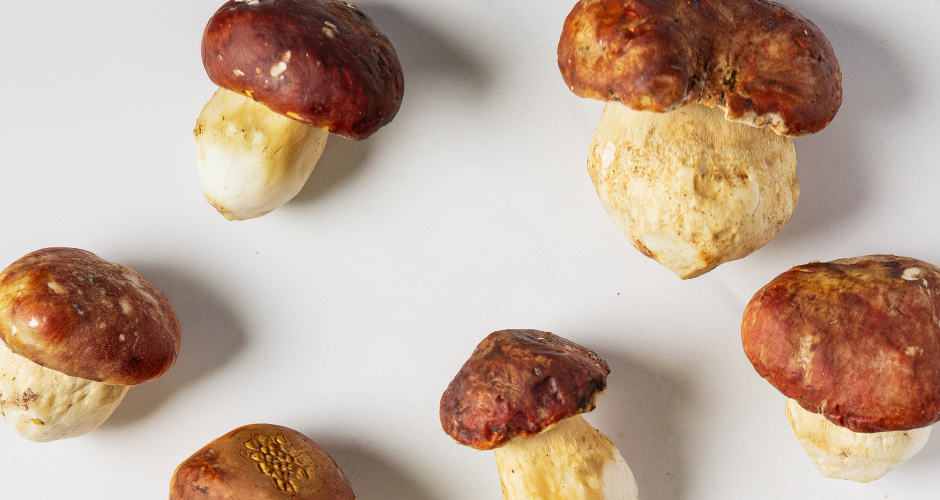 8328_Porcini Mushrooms