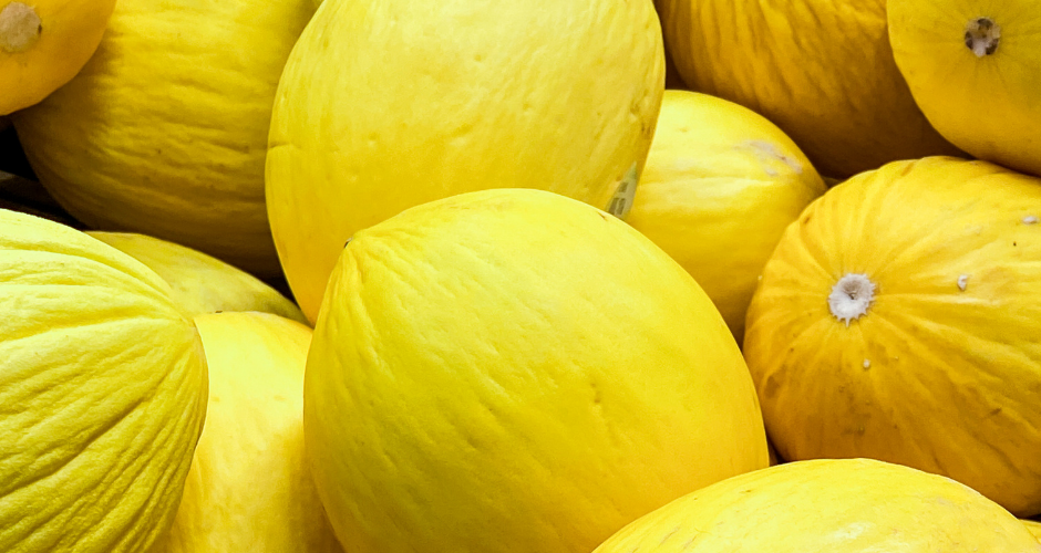Canary melon