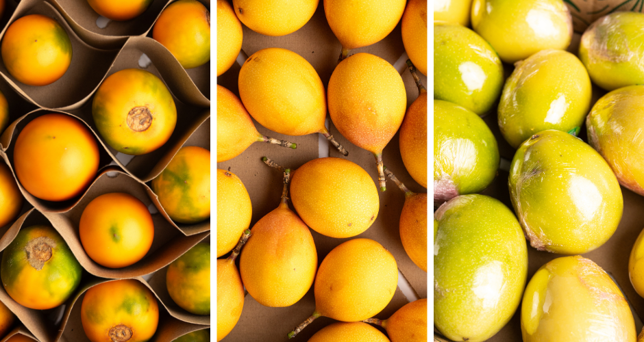 Columbian Exotic Fruits