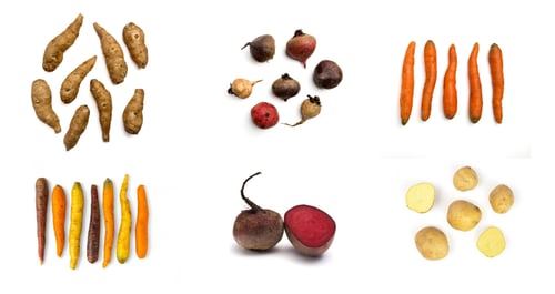 Cookstown Green Root Veg