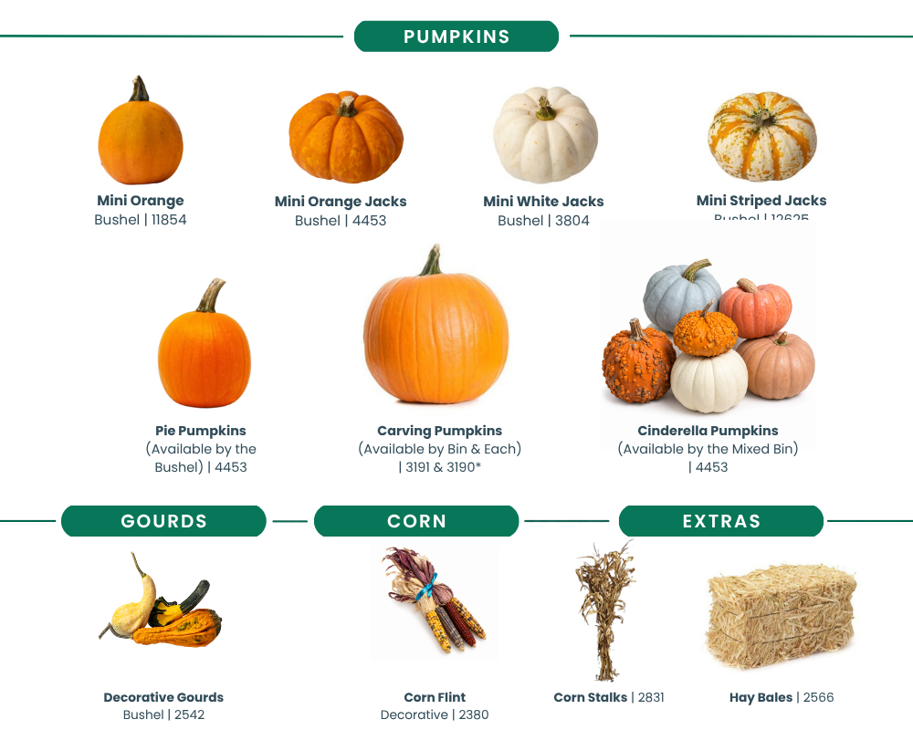 Fall Decor Offering (2)