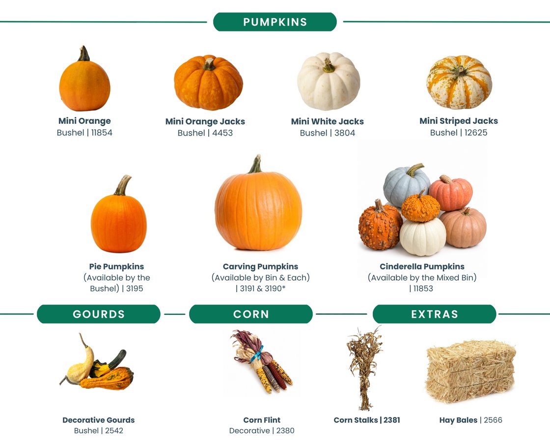 Fall Decor Offering (4)