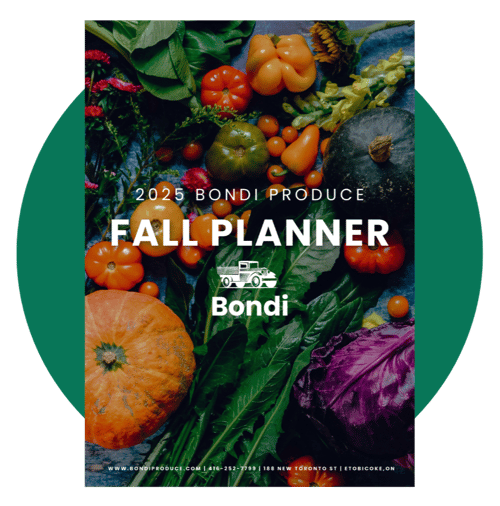 Fall Planner-1-1