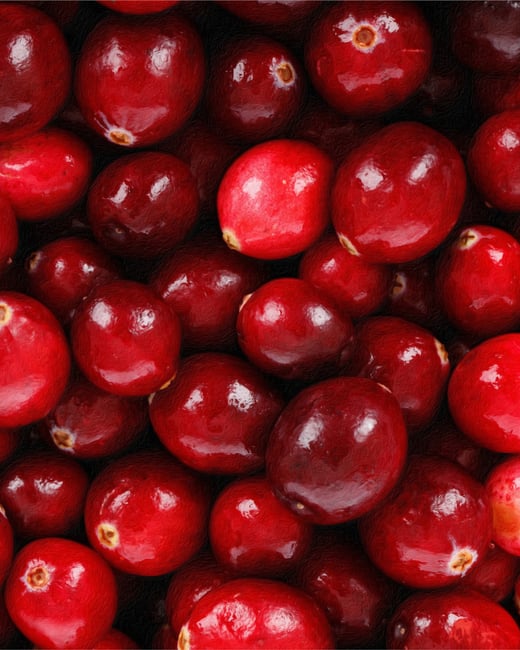 Fresh Cranberries