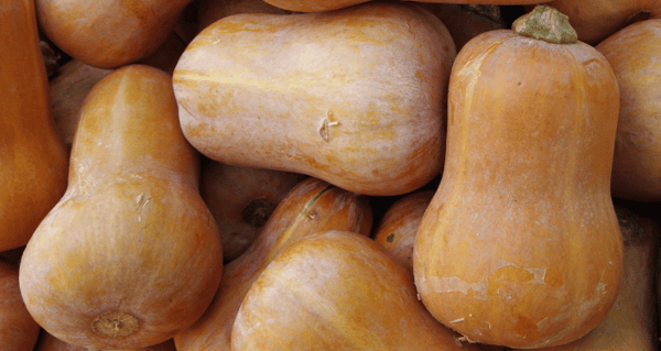 Honeynut Squash
