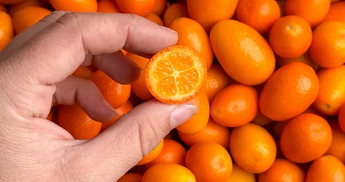 Kumquats