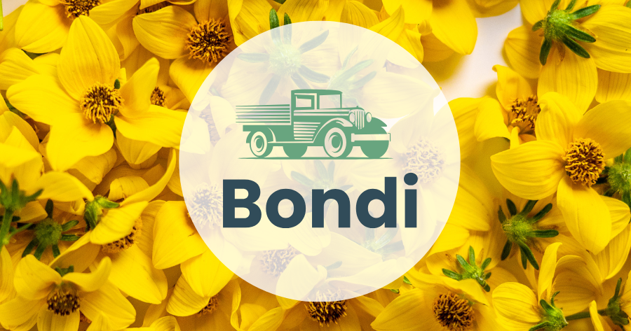 Market Report -  April 29th