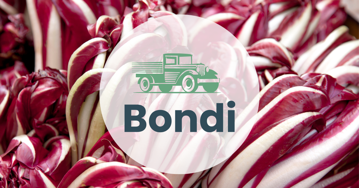 Market Report - Nov 11