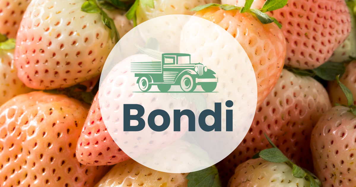 Market Report Thumbnail_Dec 2