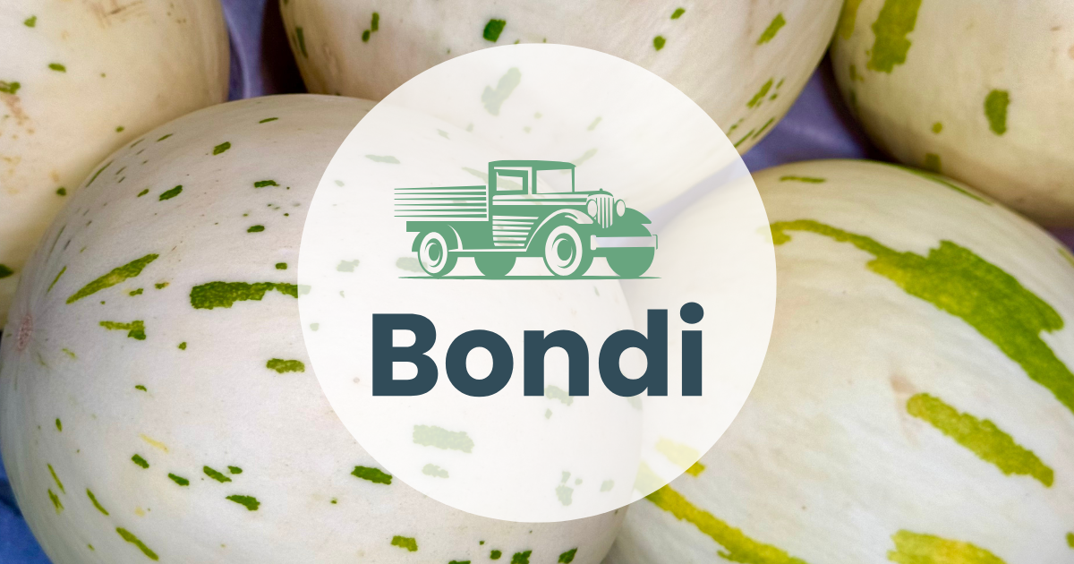 Market Report Thumbnail_Jan 13