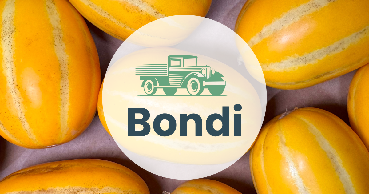 Market Report Thumbnail_Jan 20 (1)