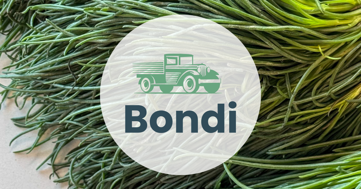 Market Report Thumbnails_Feb 18