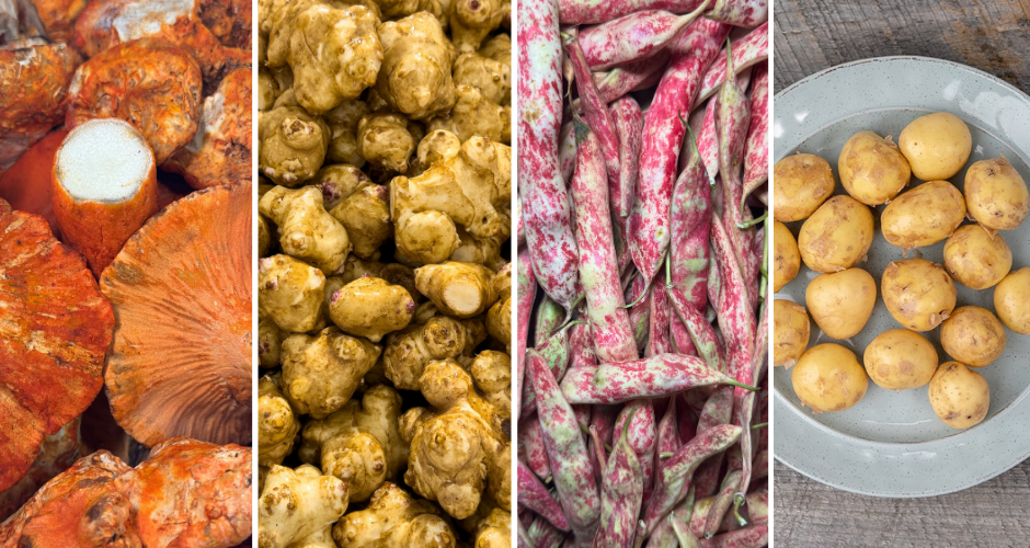 New Additions - New Produce - Aug  25 (1)