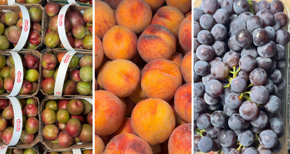 New Additions - Produce - Aug 18