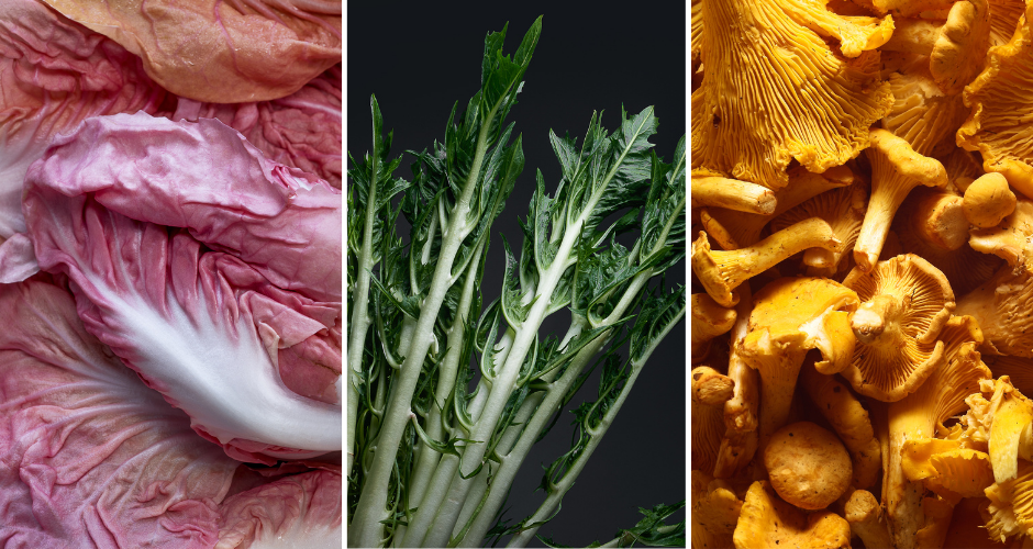 On the Horizon - Radicchio Rosa, Punterelle, Chanterelle