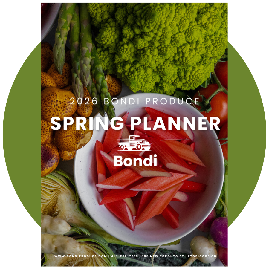 Spring Planner-1