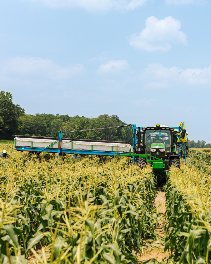 Subscribe to Our Weekly Market Report 2