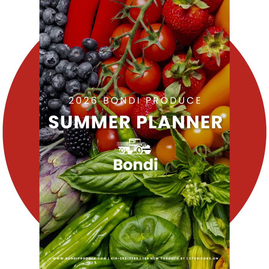 Summer Planner Summer Planner