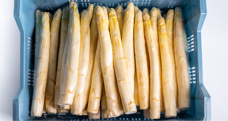 White AAA Asparagus (1)