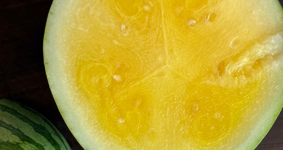 Yellow Watermelon (3)