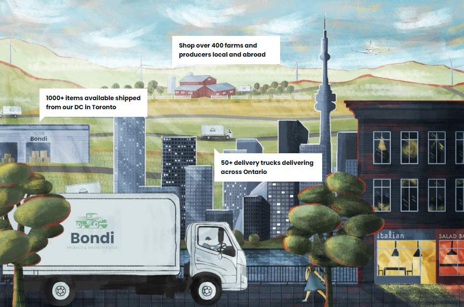 Bondi Graphic Bondi Graphic